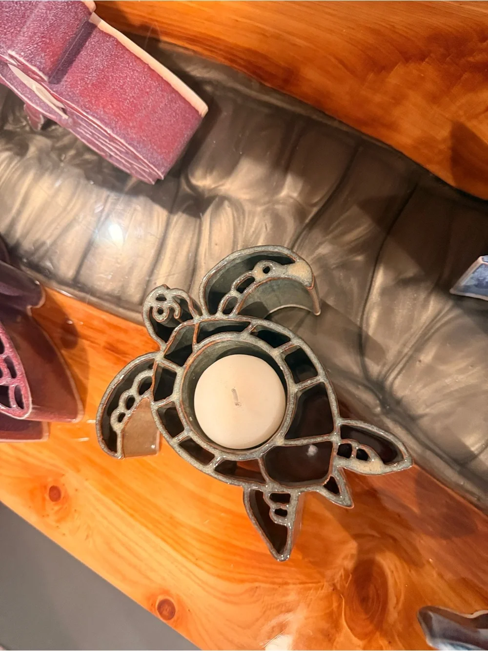 N/A charming turtle